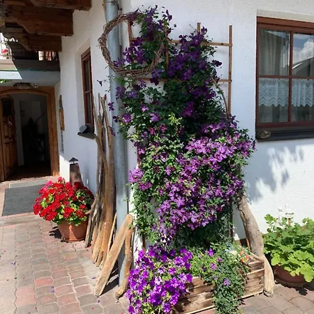 Appartamento Blusnerhof *