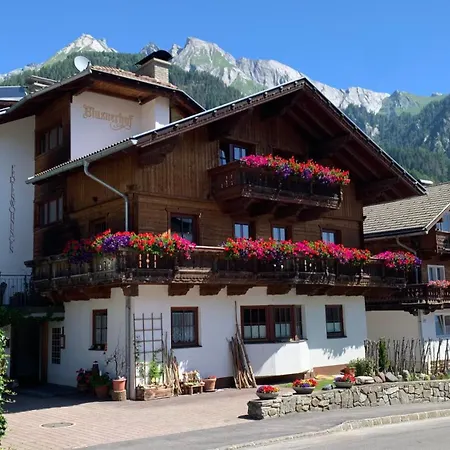Apartmán Blusnerhof *