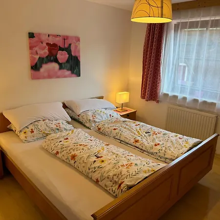 Blusnerhof Appartement *