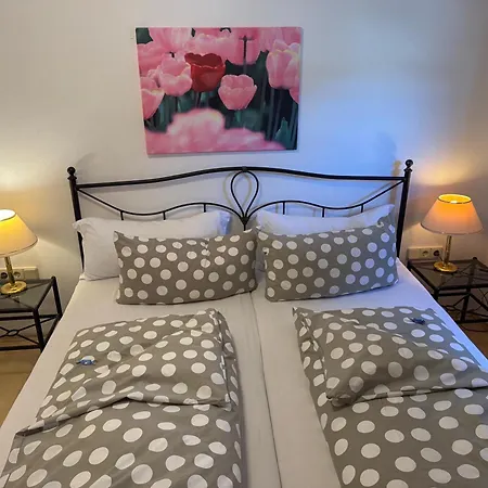 布鲁森纳霍夫酒店 *