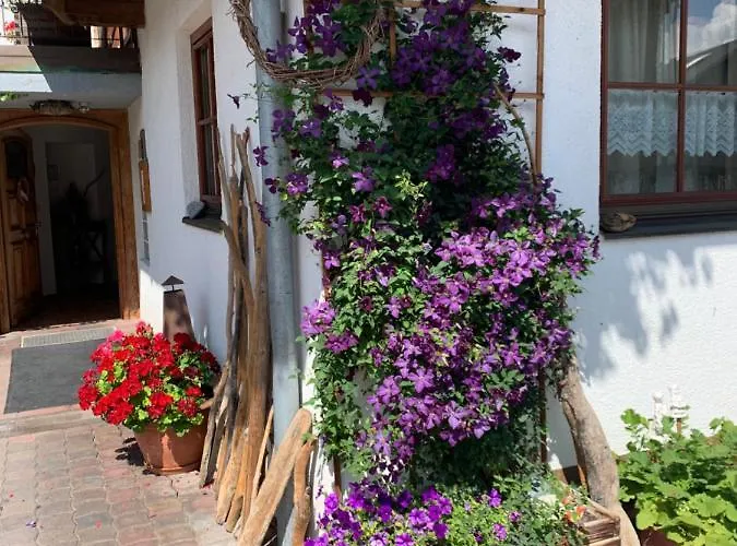 公寓 布鲁森纳霍夫酒店 *