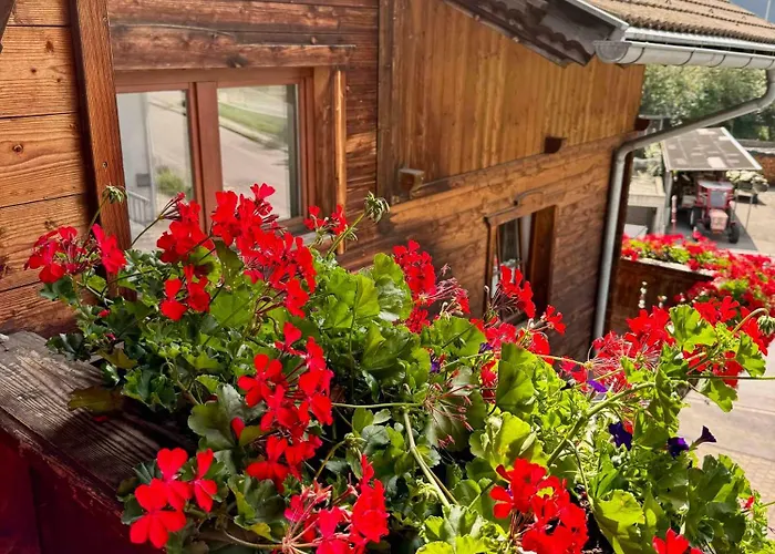 Blusnerhof Apartament Virgen