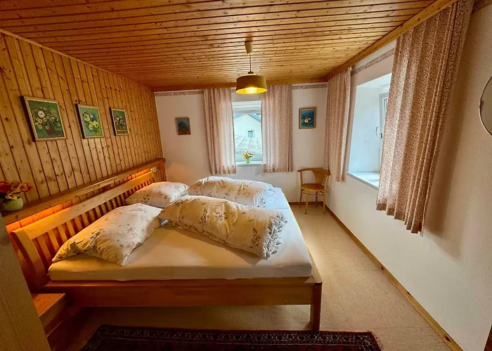 布鲁森纳霍夫酒店 维京