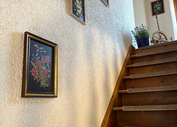 公寓 布鲁森纳霍夫酒店 维京