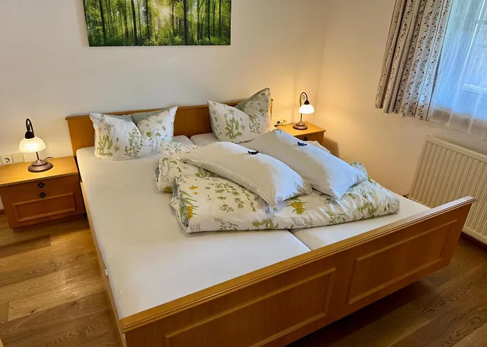 布鲁森纳霍夫酒店 公寓 *