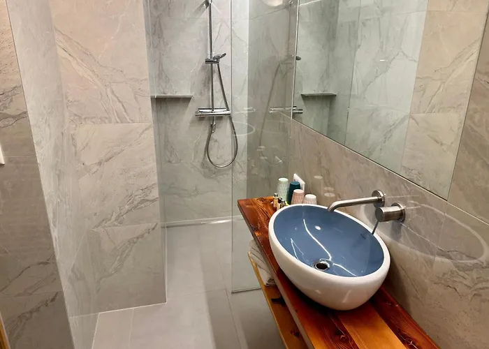 公寓 布鲁森纳霍夫酒店 *