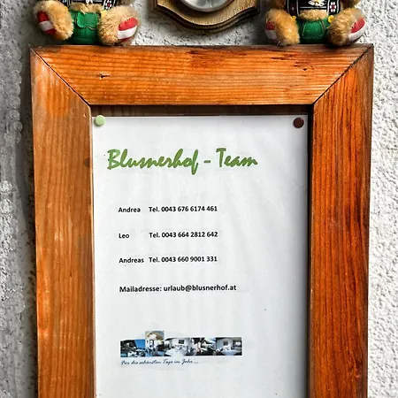 Blusnerhof Apartment