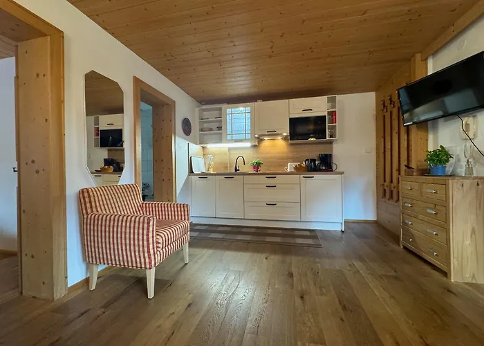 布鲁森纳霍夫酒店 * 维京