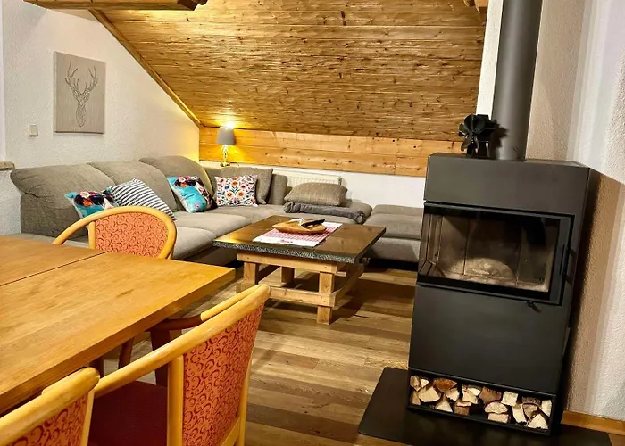 布鲁森纳霍夫酒店 维京