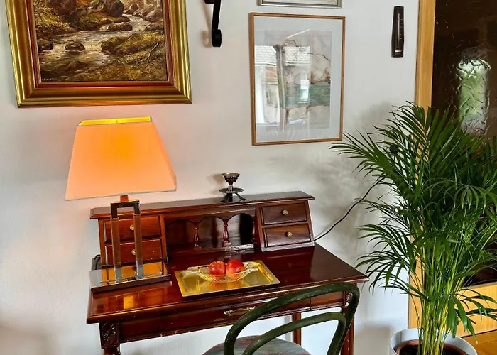 布鲁森纳霍夫酒店 * 维京