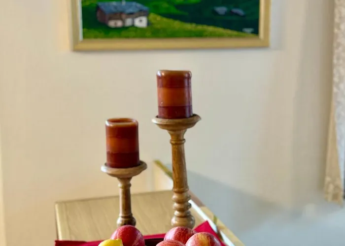 布鲁森纳霍夫酒店