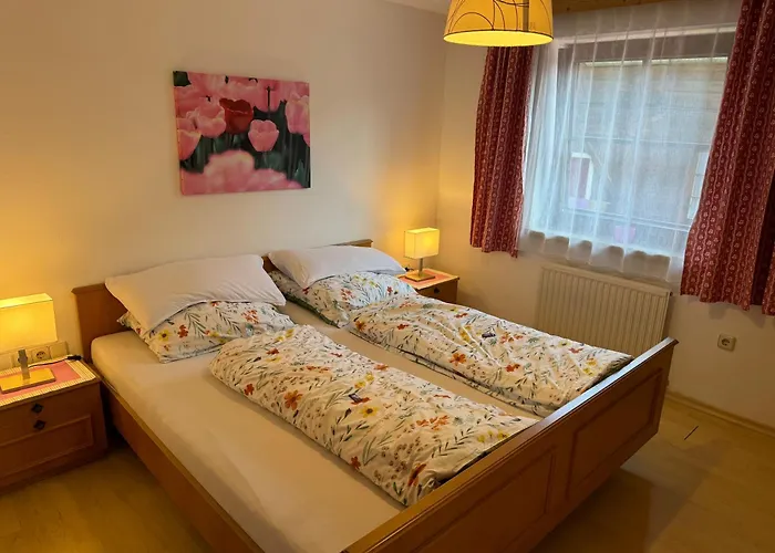 布鲁森纳霍夫酒店 公寓 *