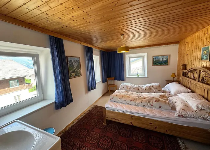 布鲁森纳霍夫酒店 公寓 维京