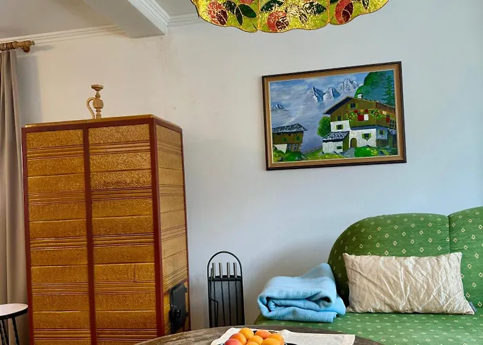 公寓 布鲁森纳霍夫酒店 维京