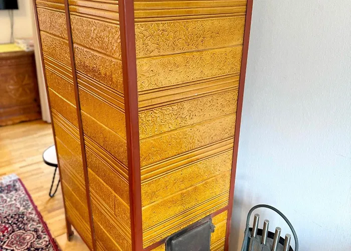 公寓 布鲁森纳霍夫酒店 *