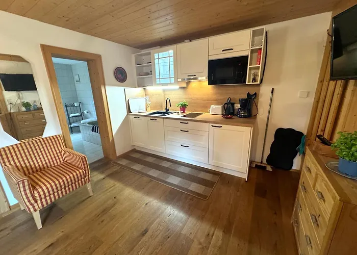 布鲁森纳霍夫酒店 公寓 维京