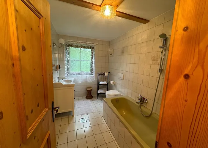 布鲁森纳霍夫酒店 维京