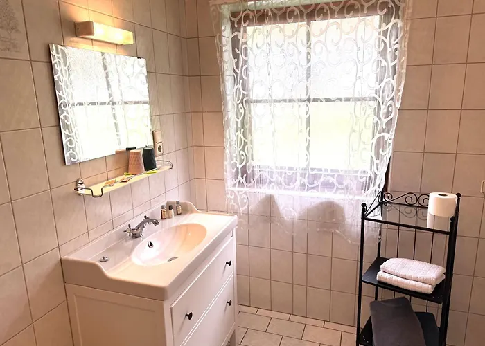 布鲁森纳霍夫酒店 *