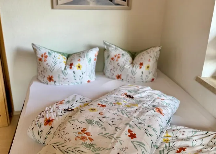 布鲁森纳霍夫酒店 维京